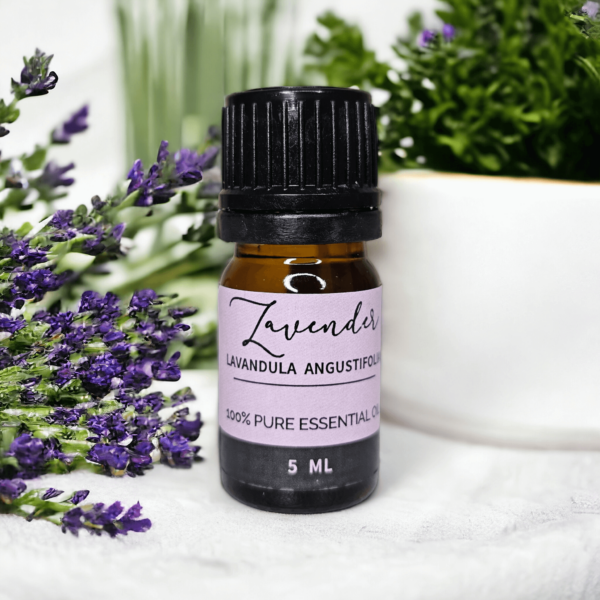 Lavender Essential Oil (5 ml)