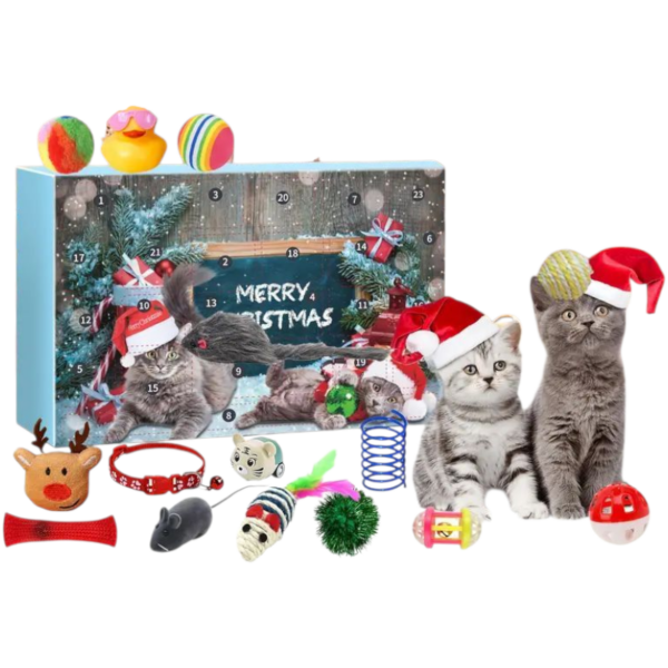 Cat Advent Calendar
